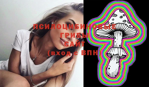 герыч Тобольск